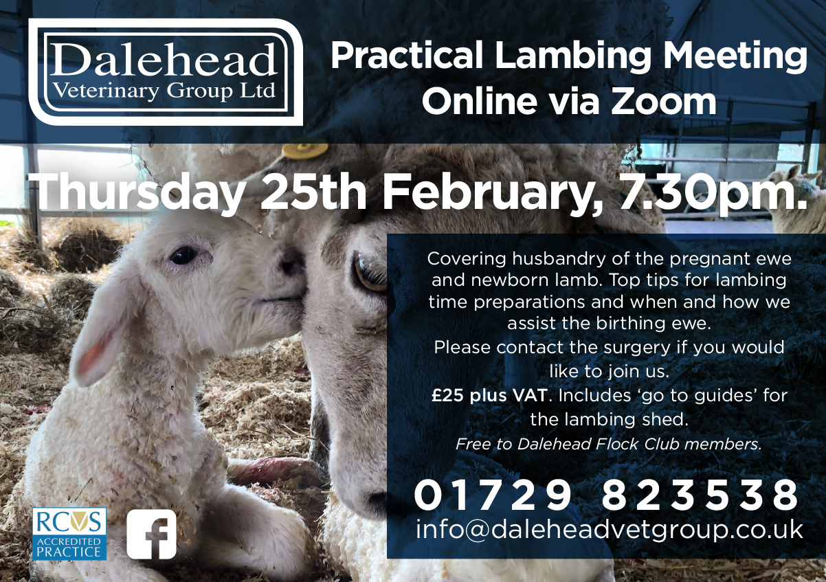 Practical Lambing Course